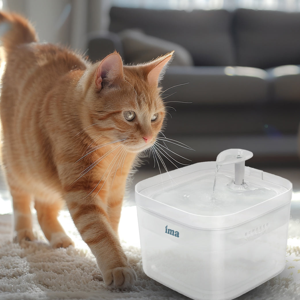 Kit de 5 filtros de repuesto y espuma para fuente de agua Inteligente IMA