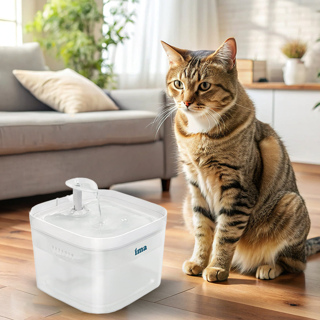 Fuente de agua inteligente para mascotas IMA