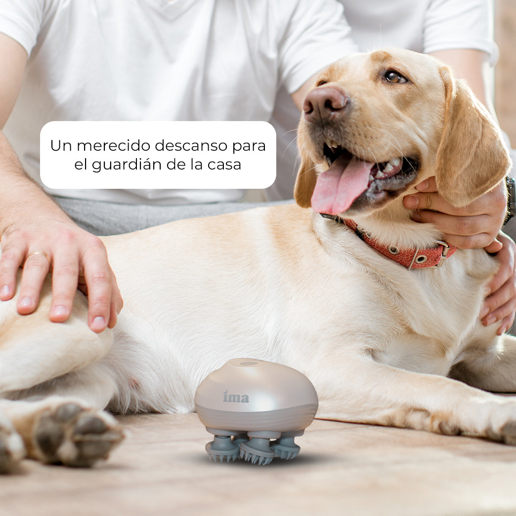 Masajeador automático para mascotas IMA