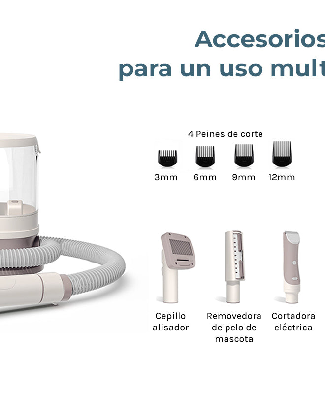 Aseo perfecto y tu mascota estilizada