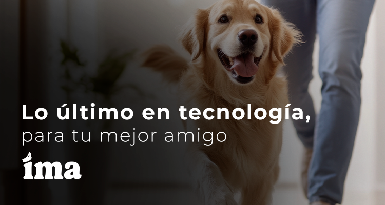 TecnoPet